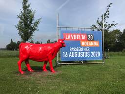 De ludieke Spaanse stier en het bord. (foto: Floyd Aanen) 