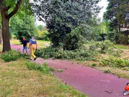 De brandweer kreeg hulp (foto: Rico Vogels/Persbureau Heitink).