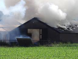 Veel rook bij een stalbrand in Uden, de koeien die hier stonden werden gered (archieffoto: SQ Vision).