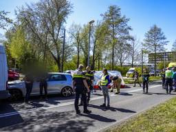 Man wil gewonde gans op straat helpen en zakt ineen, busje en auto botsen