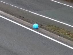 Bijzonder vervoersmiddel langs de weg: 'Ballen verstand van' (foto: Rijkswaterstaat).