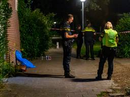 Dode vrouw gevonden in woning Rosmalen, man opgepakt