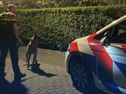 Eén van de ingezette politiehonden (foto: Instagram Jeugdagenten Bergen op Zoom).