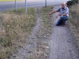 Olifantenpaadje in Schijndel (foto: Jan Verhagen)