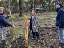 Mary Fiers, directeur van het Groen Ontwikkelfonds Brabant bij het planten van bomen op de Janmiekeshoeve in Mariahout.