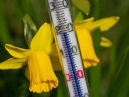 Dinsdag kan het 20 graden worden (Foto: Ab Donker).