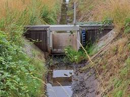 Water mag ook niet langer vasthouden worden door het waterpeil kunstmatig te verhogen (Foto: Waterschap Aa en Maas).