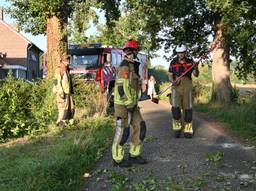 Foto: Perry Roovers / Persbureau Heitink