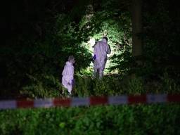 Poolse vrouw lag dood in de bosjes, politie zoekt twee belangrijke getuigen
