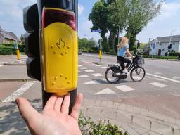 De 'slimme' drukknop op de kruising Academielaan-Bredaseweg (foto: Collin Beijk)