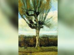 De Knorberk van Vincent van Gogh