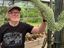 Corné Hopstaken bij de bijzondere bloesem van de agave (foto: Erik Peeters)