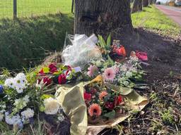 Bloemen aan de Schriekenweg in Rijsbergen maandagmorgen (foto: Floortje Steigenga).