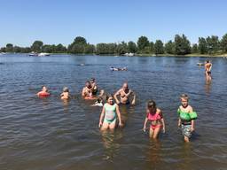 Bij de Lithse Ham genoten zwemmers van de warmte. Foto: Omroep Brabant
