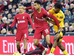 Cody Gakpo bij zijn debuut voor Liverpool (Foto: Orange Pictures)