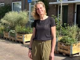 Auto driehonderd meter verderop parkeren: 'Nu meer groen in de straat'