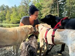 Angelique van de Laak, samen met een aantal door ACE|SHIN geredde honden uit Spanje (foto: Niek de Bruijn).