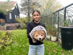 https://api.omroepbrabant.nl/img/f/$width$/$height$/0.5/0.29/bWVkaWEvcHJvZC80NTkxMjAyLmpwZz9zdj0yMDE5LTA3LTA3JnN0PTIwMjAtMDEtMDFUMDAlM0EwMCUzQTAwWiZzZT0yMDQwLTAxLTAxVDAwJTNBMDAlM0EwMFomc3I9YiZzcD1yJnNpZz1IN1hCd0FuJTJGREJaZ1dtVUJwSmM3Q0RXUDk3QTRRMTBDUm85N0tkUGJPV0UlM0Q=