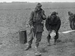Britse militairen in de Biesbosch zoeken mijnen (foto: IWM)