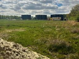 Het beoogde terrein aan de Schansdijk in Zevenbergen. (foto: Raoul Cartens)