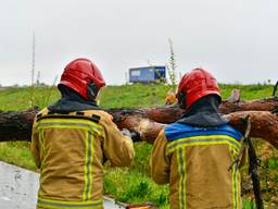 Twee bomen omgewaaid in Valkenswaard (foto: Rico Vogels/SQ Vision).