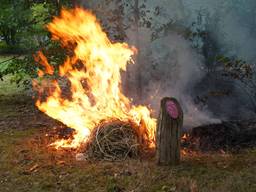 Brand in bosjes snel onder controle na ingrijpen brandweer