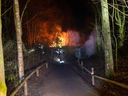 Apen omgekomen bij brand ZooParc Overloon