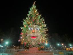 De enorme kerstboom in Prinsenbeek (foto: Remco Beekers).