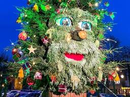 Pratende kerstboom tovert lach op de gezichten: 'Iets moois voor het dorp'