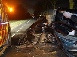 Auto botst vol op boom in Rijen