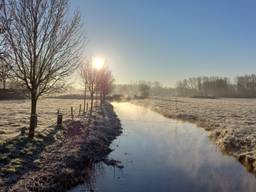 Glinsterende zon in Waalre (Foto: Everien van Poppel). 