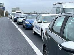 Archieffoto: Karin Kamp.