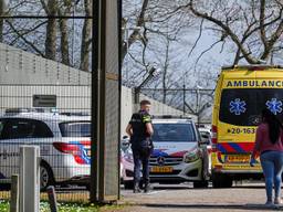 https://api.omroepbrabant.nl/img/f/$width$/$height$/0.5/0.5/bWVkaWEvcHJvZC80MDcxOTk3LmpwZz9zdj0yMDE5LTA3LTA3JnN0PTIwMjAtMDEtMDFUMDAlM0EwMCUzQTAwWiZzZT0yMDQwLTAxLTAxVDAwJTNBMDAlM0EwMFomc3I9YiZzcD1yJnNpZz1YeFF0QiUyQnlrSDMxTVpIZXh1SFV0TTZpbWg3SFVJWloxYXpBYiUyQnRpa0FTSSUzRA==