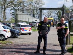 https://api.omroepbrabant.nl/img/f/$width$/$height$/0.5/0.5/bWVkaWEvcHJvZC80MDcxOTk4LmpwZz9zdj0yMDE5LTA3LTA3JnN0PTIwMjAtMDEtMDFUMDAlM0EwMCUzQTAwWiZzZT0yMDQwLTAxLTAxVDAwJTNBMDAlM0EwMFomc3I9YiZzcD1yJnNpZz10UUF1UGxuS1h6OW9QalFwUFElMkZlcU5rMGFCNjZlSjVaOU80WnF6aXRiQWclM0Q=