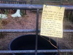'Boer zorg beter voor je pony's', valt er te lezen bij de paardenwei (foto: Rochelle Moes - Dtv Nieuws).