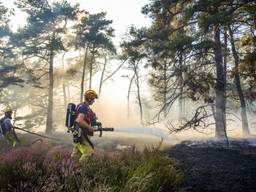 Natuurbrand in Waalre (foto: SQ Vision).
