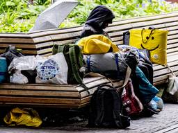 Een beeld dat we steeds vaker zien in Brabant (foto: ANP).