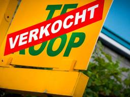 https://api.omroepbrabant.nl/img/f/$width$/$height$/0.5/0.5/bWVkaWEvcHJvZC80MTY2MDU3LmpwZz9zdj0yMDE5LTA3LTA3JnN0PTIwMjAtMDEtMDFUMDAlM0EwMCUzQTAwWiZzZT0yMDQwLTAxLTAxVDAwJTNBMDAlM0EwMFomc3I9YiZzcD1yJnNpZz1zUXdoWGolMkJSNzV0T1Axa1hyZFlmTldQc1hlck4xS21OYUlzODFtMGF6REElM0Q=