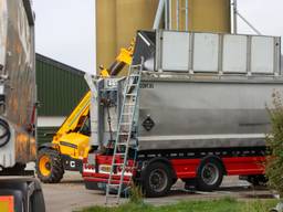 Een ruiming bij een pluimveebedrijf vanwege vogelgriep (archieffoto: ANP).