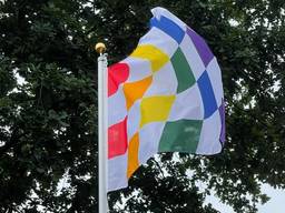 De Brabantse regenboogvlag (foto: Emma Laurijssens).