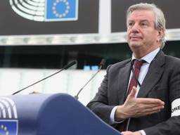 Toine Manders droeg donderdag een armband in het Europees Parlement. 