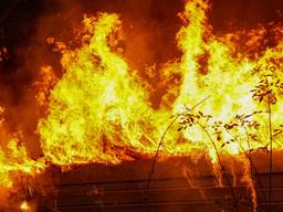 De stalletjes brandden volledig uit (foto: Harrie Grijseels/SQ Vision).