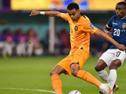 Cody Gakpo haalt uit voor zijn doelpunt tegen Ecuador (foto: Orange PIctures).