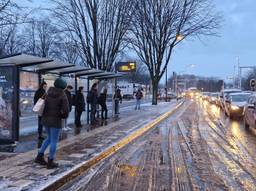 Komt de bus vandaag wel of niet? Reizigers wachtte tevergeefs in de sneeuw (foto: Noël van Hooft). 