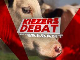 Kiezersdebat Brabant: thema landbouw