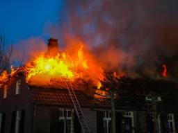 https://api.omroepbrabant.nl/img/f/$width$/$height$/0.5/0.5/bWVkaWEvcHJvZC80MjU3MDQwLmpwZz9zdj0yMDE5LTA3LTA3JnN0PTIwMjAtMDEtMDFUMDAlM0EwMCUzQTAwWiZzZT0yMDQwLTAxLTAxVDAwJTNBMDAlM0EwMFomc3I9YiZzcD1yJnNpZz05ZHI2cks2U2xCWU9Ob1E1dExuMVhxVmVnUU1rMlRNVkJtand6VjJVc3JrJTNE