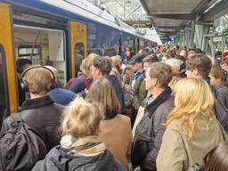 Het is druk in de trein (foto: Omroep Brabant).