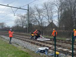 Met een radar onderzoekt ProRail waar de dassen precies zitten (foto: Omroep Brabant).