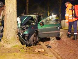 Auto tegen boom (foto: SQ Vision).