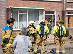 Foto:  Iwan van Dun/SQ Vision Mediaprodukties